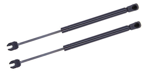 Par Amortiguadores De Cofre Chrysler 300, Charger, 2006 2010