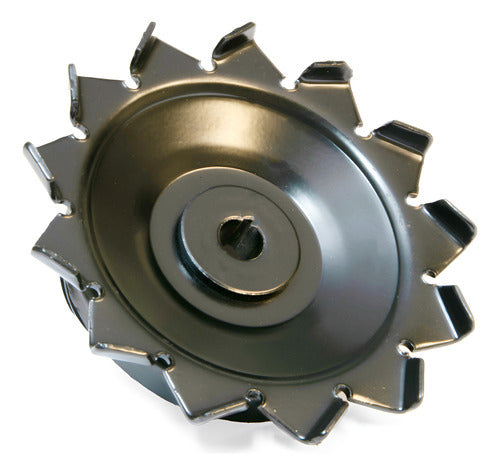 Polea De Alternandor Sedan Vocho